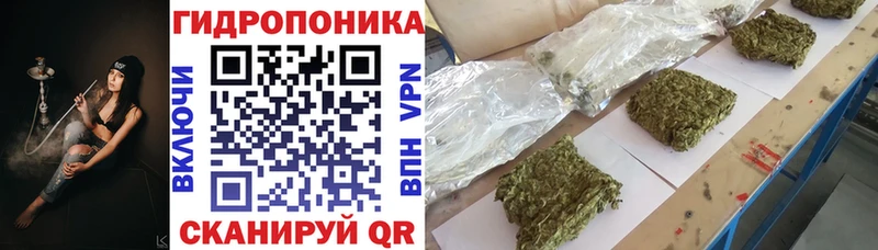 Где купить наркотики Усть-Илимск COCAIN  Alpha-PVP  Амфетамин  Меф мяу мяу 