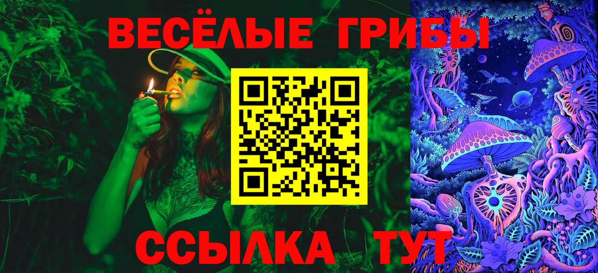 Галлюциногенные грибы Cubensis Усть-Илимск
