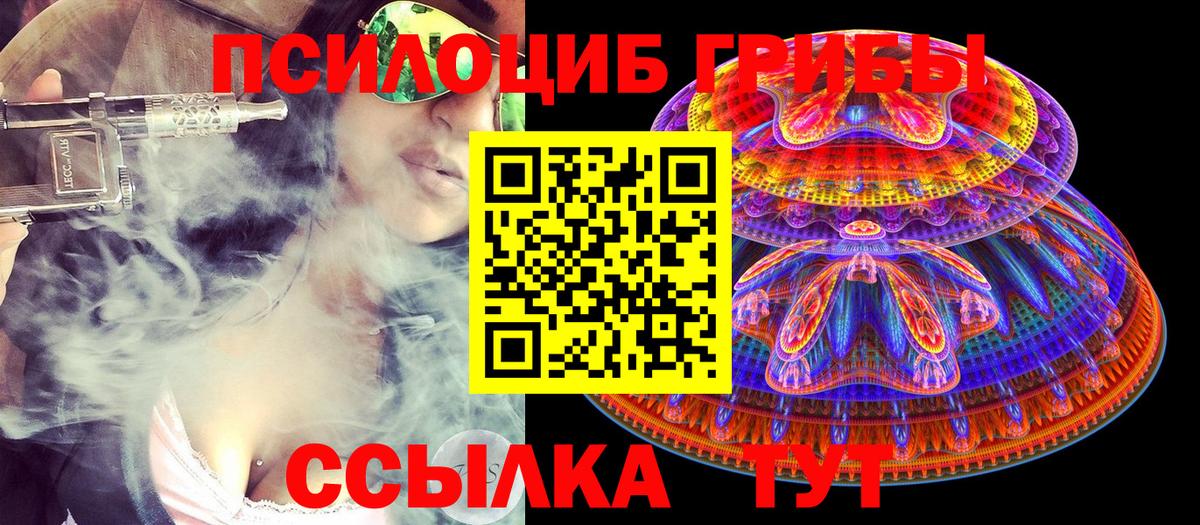 Усть-Илимск  Псилоцибиновые грибы ЛСД  Псилоцибиновые грибы мицелий  Вход с VPN 